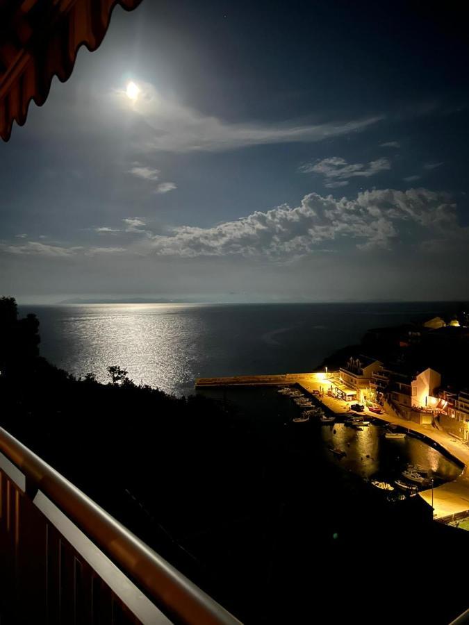 Apartments Daniela ซาวาลาติซา ภายนอก รูปภาพ